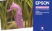 Tinte Epson magenta hell R300/RX500/RX600 T048640