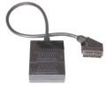 Scart-Verteiler 2fach an 50cm Kabel