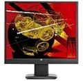 LCD-Monitor TFT 48,3 cm V7 D1912 4:3 kein Widescreen