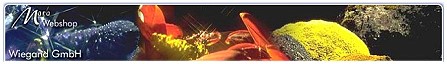 Artikel rund um die Additive BPS-Therapie